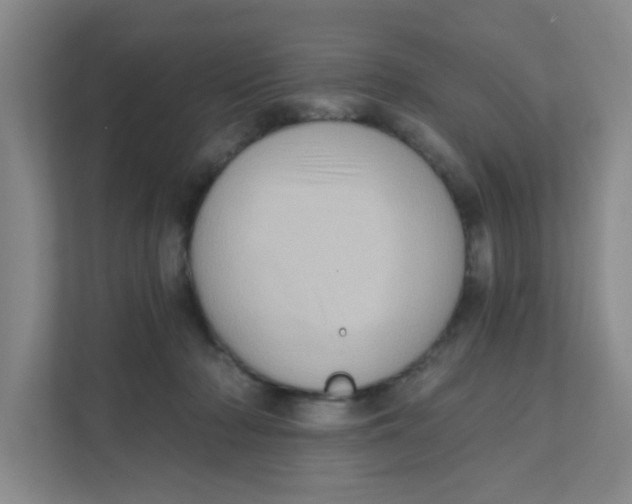 X0000111360318200907311018