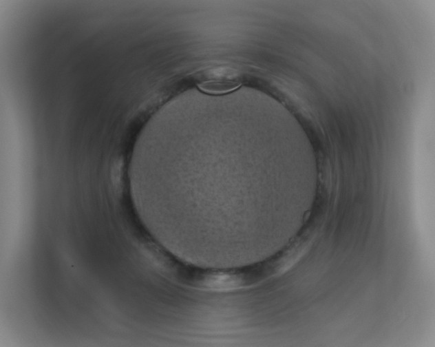 X0000111360319200907311018