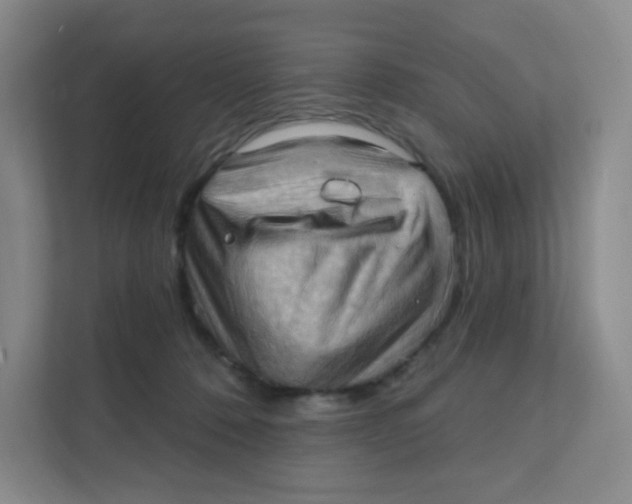 X0000111360320200907311018