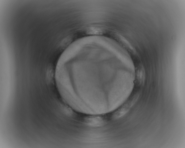 X0000111360322200907311018