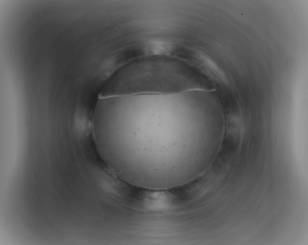 X0000111360324200907311018