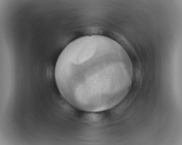 X0000111360326200907311018