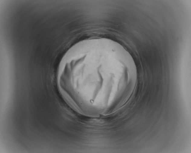 X0000111360328200907311018