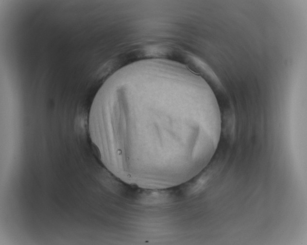 X0000111360329200907311018