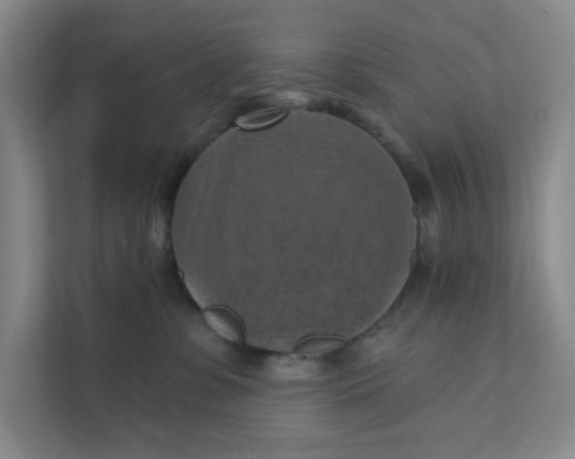 X0000111360331200907311018