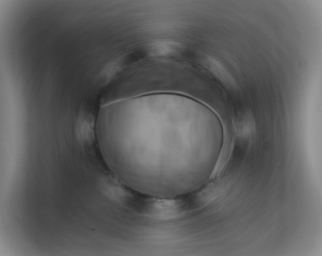 X0000111360332200907311018