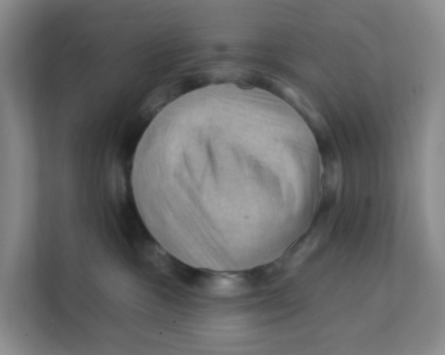 X0000111360333200907311018