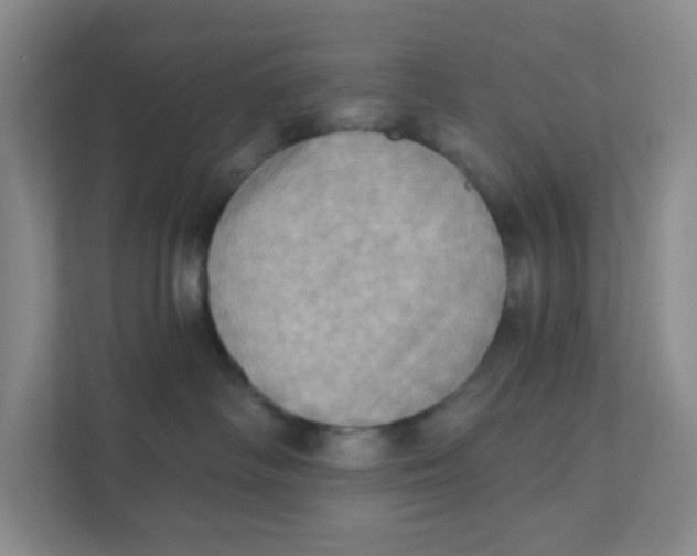 X0000111360334200907311018