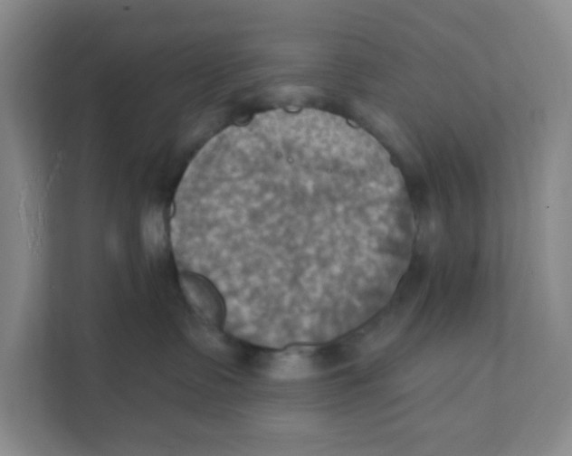 X0000111360335200907311018