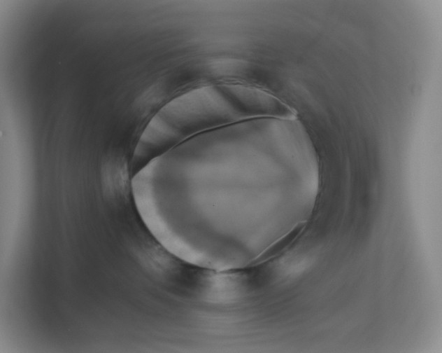 X0000111360336200907311018