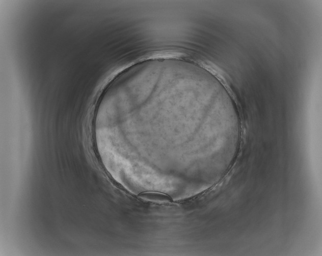 X0000111360337200907311017