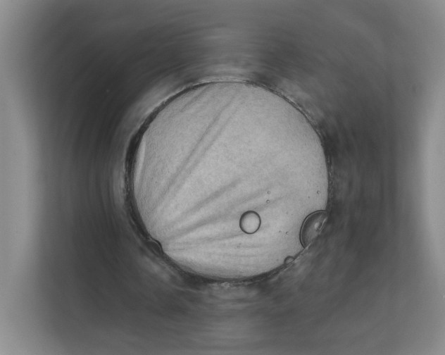 X0000111360338200907311017