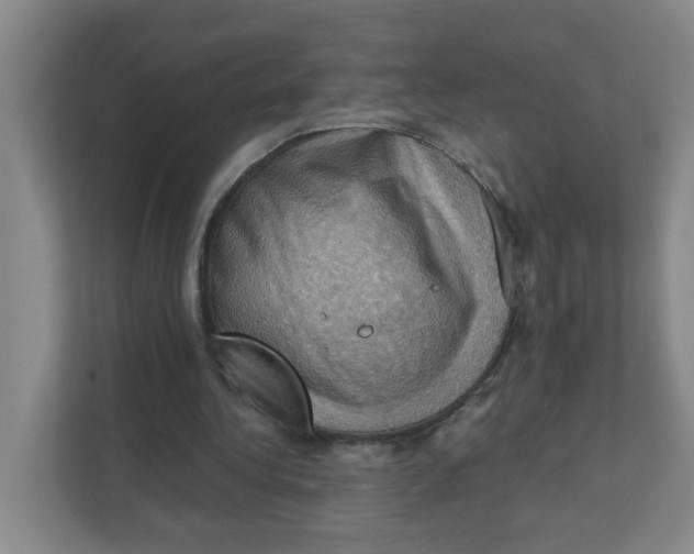 X0000111360340200907311017