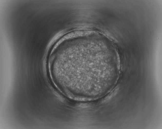 X0000111360341200907311017