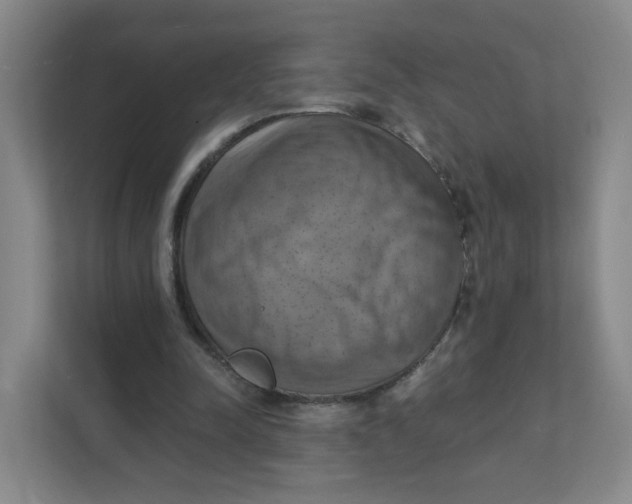 X0000111360342200907311017