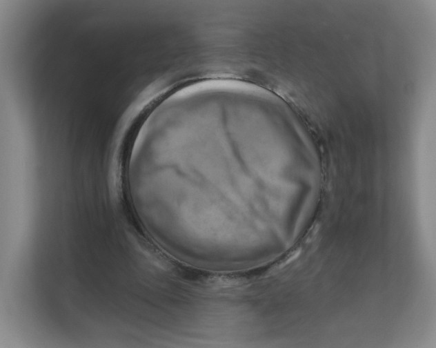 X0000111360343200907311017