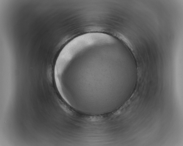 X0000111360345200907311017