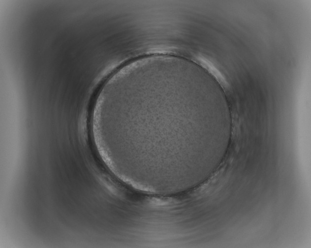 X0000111360346200907311017