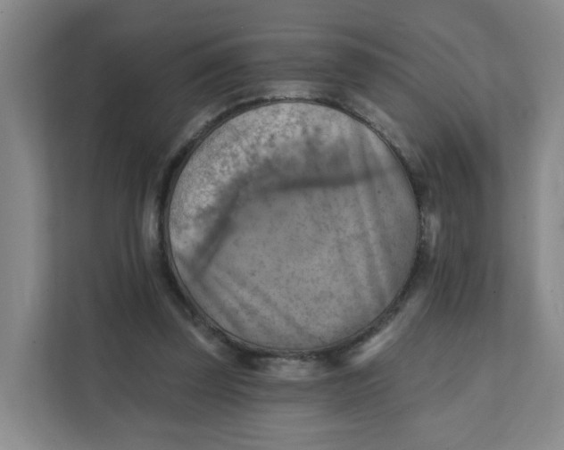 X0000111360347200907311017