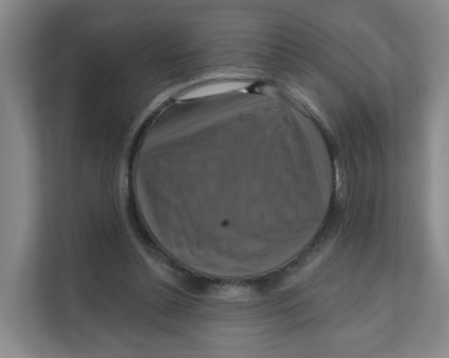 X0000111360348200907311017