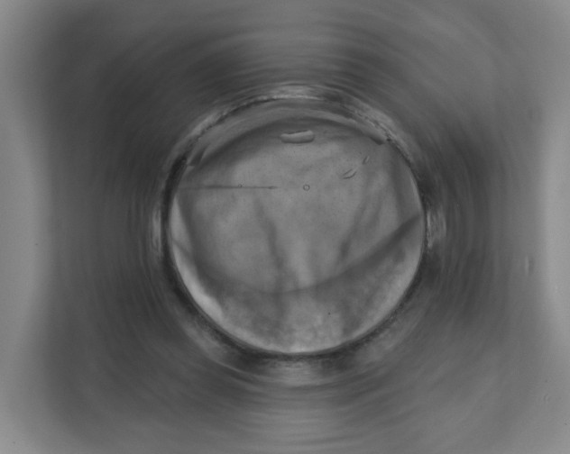 X0000111360349200907311017