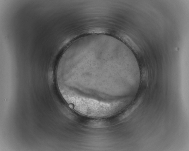 X0000111360351200907311017