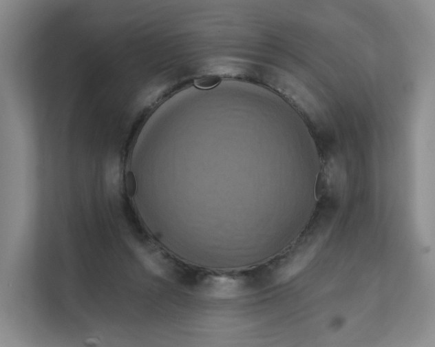 X0000111360352200907311017