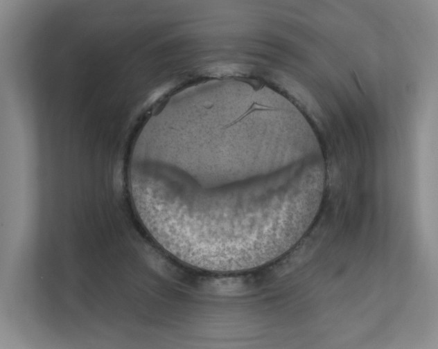 X0000111360353200907311017