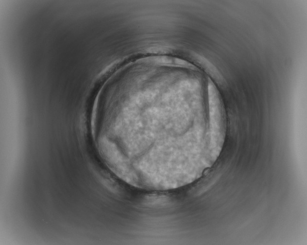 X0000111360354200907311017