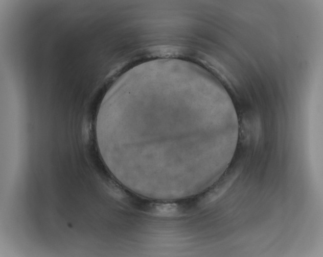 X0000111360355200907311017