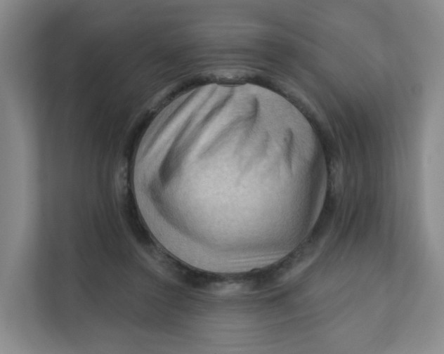 X0000111360356200907311017