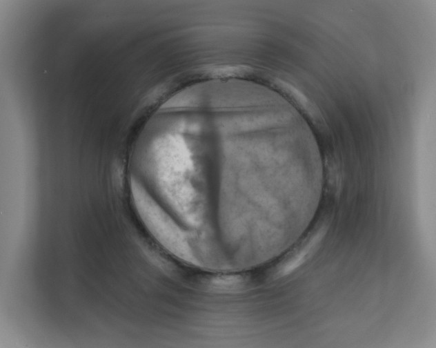 X0000111360357200907311017