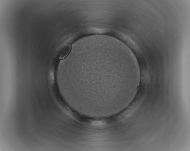 X0000111360358200907311017