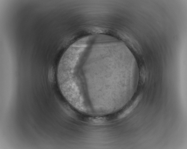 X0000111360359200907311017