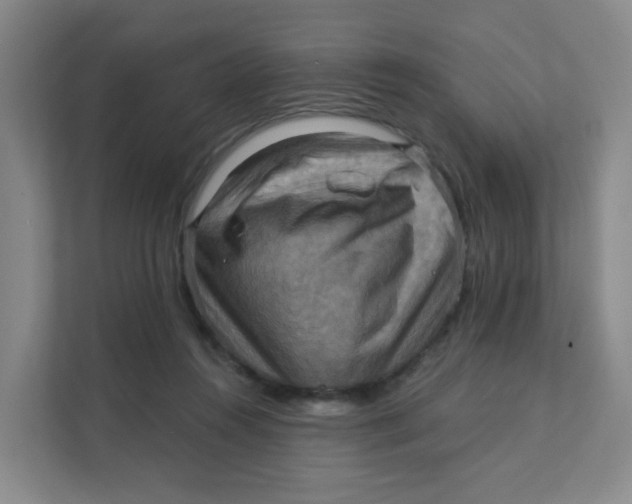 X0000111360360200907311017