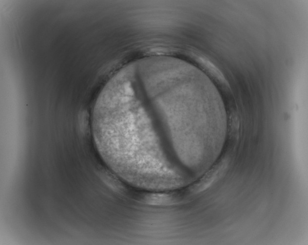 X0000111360361200907311017