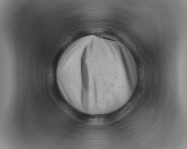 X0000111360362200907311017