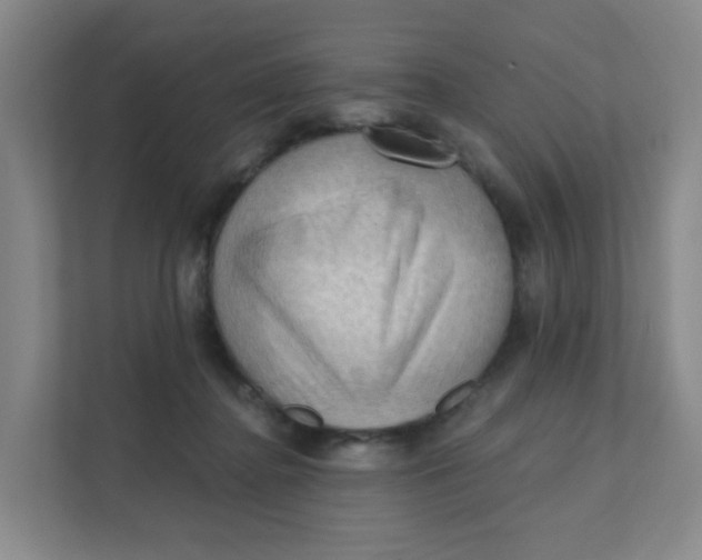 X0000111360364200907311017