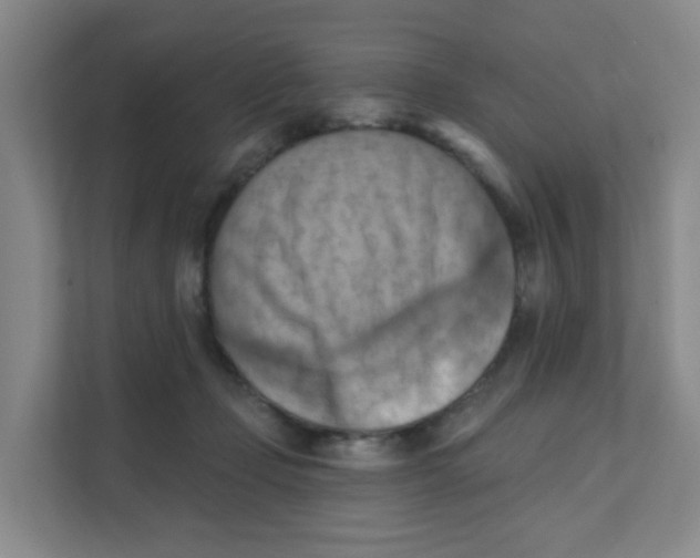 X0000111360365200907311017