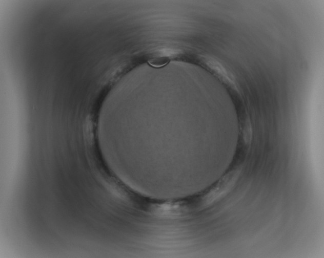 X0000111360366200907311017