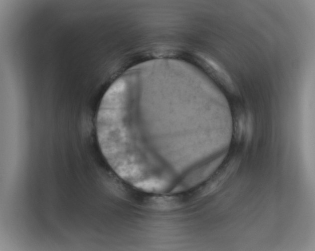 X0000111360367200907311017