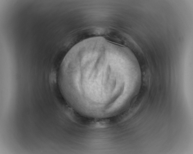 X0000111360368200907311017