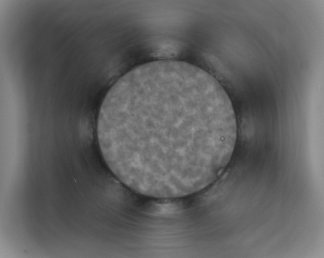 X0000111360370200907311017