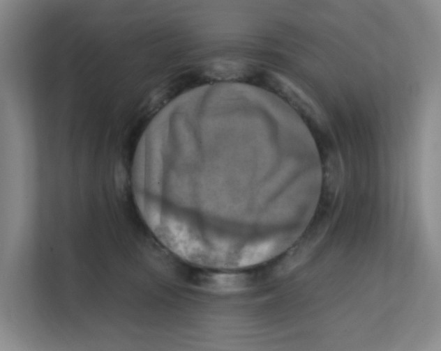 X0000111360371200907311017