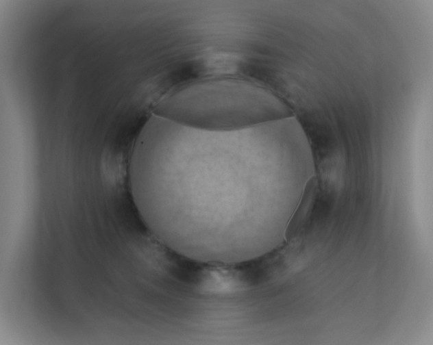 X0000111360372200907311017