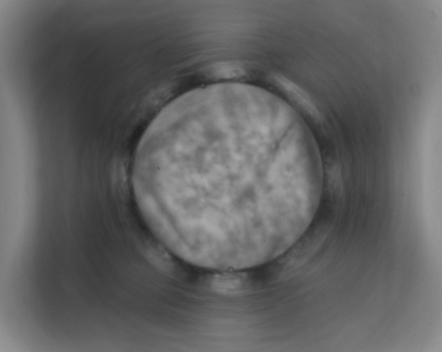 X0000111360373200907311017