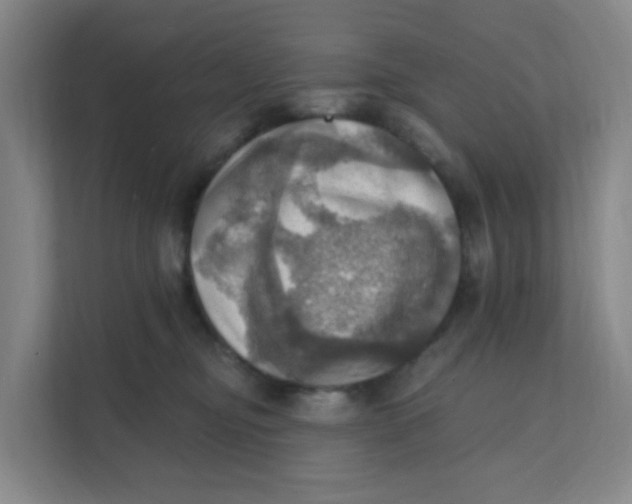 X0000111360374200907311017