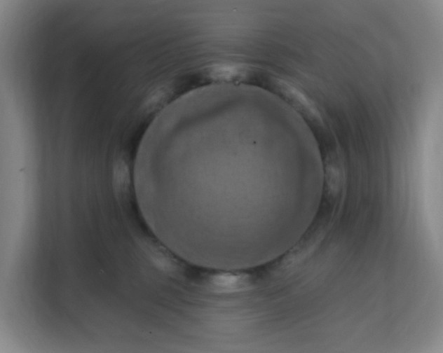 X0000111360375200907311017