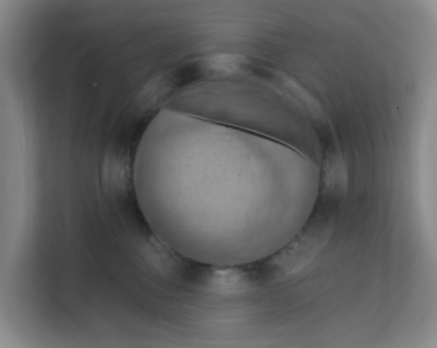 X0000111360376200907311017