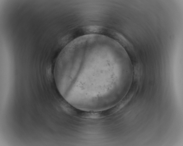 X0000111360377200907311017